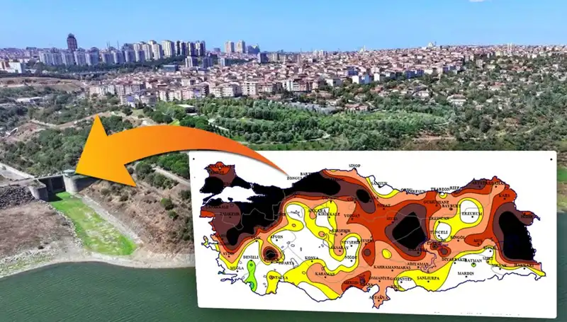 İstanbul'da Görülen Kara Lehte Sorunlar Uzmanları Endişelendiriyor